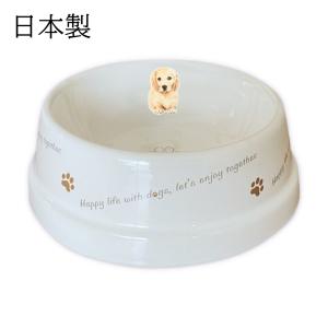 フードボウル 犬 ボストンテリア 日本製 陶器 食べやすい 餌 餌入れ