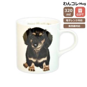 フードボウル 犬 ダックス 日本製 わんコレ 餌 エサ入れ お皿 ギフト