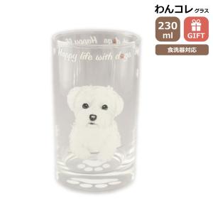 グラス タンブラー(チワワ)犬 ガラスのコップ 日本製 230cc わんコレ
