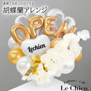 胡蝶蘭 花 開店祝い バルーン 開業祝い オープン祝い 周年祝い 開院