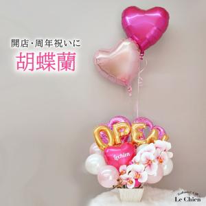 バルーンアレンジ　お祝い　インテリア 胡蝶蘭 お祝いバルーンアレンジメント 周年祝い 祝電 開店祝い
