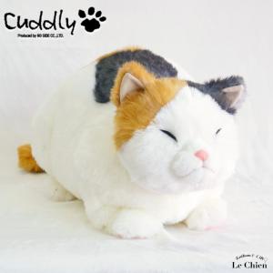 Cuddly 小春 Koharu ぬいぐるみ　① 楽天市場】【送料無料】Cuddly (カドリー） ぬいぐるみ 小春／三