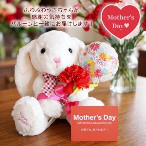 遅れてごめんね 【母の日 対応商品】 母の日ギフト カーネーション
