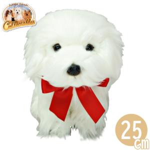 マルチーズぬい”オーダーメイドで作るマルチーズぬいぐるみ : fabbrica