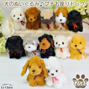 犬のぬいぐるみ プチお座りドッグ １２犬種セット お座りしたプチぬいぐるみのセットです 卒業式 プレゼント ギフト お返し ルシアン アニマル 動物 犬グッズ S 1 Lechien 通販 Yahoo ショッピング