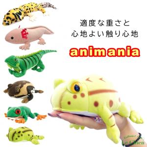 アニマニア M ベルツノガエル 大きい方のサイズ ぬいぐるみ カエル