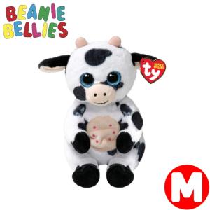 tyビーニーベイビーズ ネコぬいぐるみ　ペルシャ lechien_ty-40548