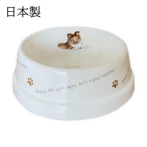 フードボウル 犬 ゴールデン レトリバー 日本製 陶器 食べやすい エサ