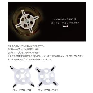 Avail Ambassadeur 2500C...の詳細画像3