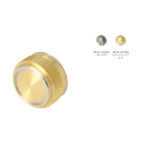 シマノ（SHIMANO） 【シマノ純正】21カルカッタコンクエスト 100用