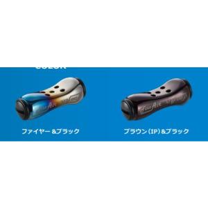 DAIWA（釣り） ダイワ／DAIWA ソルティガ BJ 100P-RM