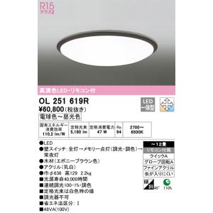 OL251619R オーデリック  シーリングライト 〜12畳