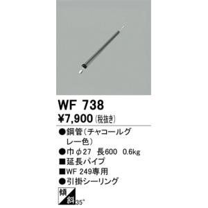 WF738 オーデリック  シーリングファン