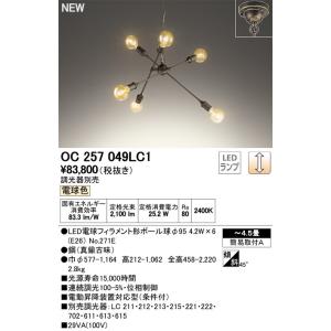 2023年モデル　OC257049LC1 ランプ別梱包  オーデリック odelic LED照明