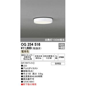 2023年モデル　OG254516 LEDポーチライト  オーデリック odelic LED照明