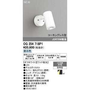 OG254718P1 最新モデル  LEDスポットライト  オーデリック