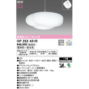 2023年モデル　OP252431R LEDペンダント  オーデリック odelic LED照明