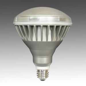 新品◆岩崎電気 LEDスポットライト ESP30000W/WSAN1◆定価4万円 岩崎電気 (送料無料) ESP14004/S (ESP14004S) 屋外スポット