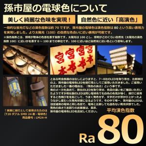 LED T10x31 ハイパワーSMD2連 電...の詳細画像2