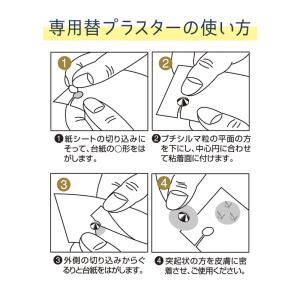 プチシルマ(5.5mm/7mm)専用替プラスタ...の詳細画像2