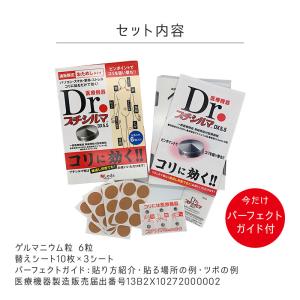 Dr.プチシルマDX5.5 / 6粒 ゲルマ ...の詳細画像5