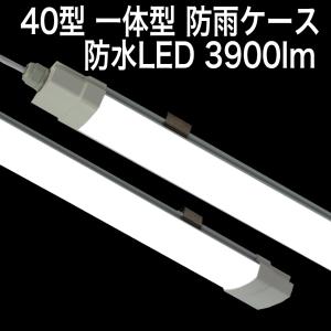 COWELL 直管LEDランプ(LED蛍光灯) 40形 5000K 昼白色相当 商品