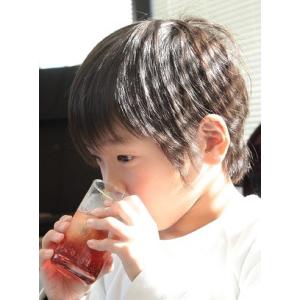 フルーツハーブ さんざしドリンク 900mL ...の詳細画像3