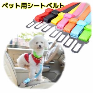犬 つなぐ 紐の商品一覧 通販 Yahoo ショッピング