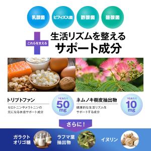 【オールインワン腸活サプリ】ビオリレー 1日1...の詳細画像3