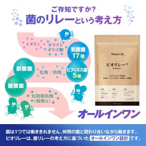 【オールインワン腸活サプリ】ビオリレー 1日1...の詳細画像5