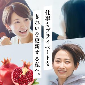 【高濃度】エラグ酸 サプリ (180mg / ...の詳細画像2