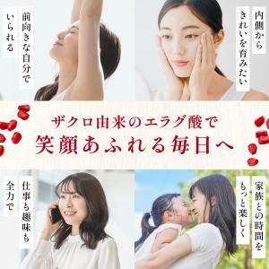 【高濃度】エラグ酸 サプリ (180mg / ...の詳細画像3
