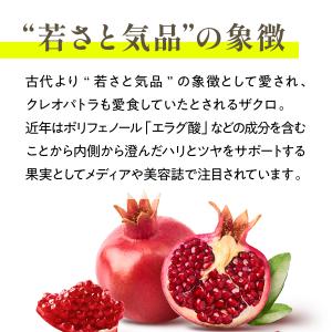 【高濃度】エラグ酸 サプリ (180mg / ...の詳細画像5