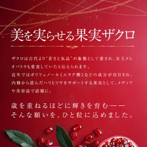 高濃度 エラグ酸 サプリ 1ヶ月分 ザクロエキ...の詳細画像3