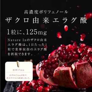 高濃度 エラグ酸 サプリ 1ヶ月分 ザクロエキ...の詳細画像4