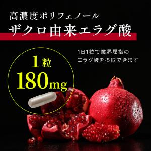 【高濃度】エラグ酸 サプリ (180mg / ...の詳細画像4