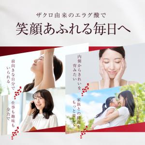 高濃度 エラグ酸 サプリ 1ヶ月分 ザクロエキ...の詳細画像5