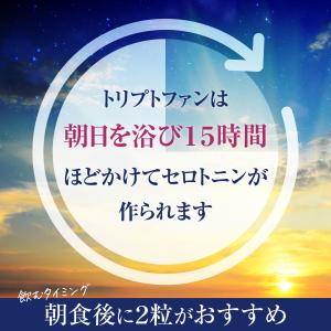 幸せのトリプトファン 60日分 乳酸菌配合(1...の詳細画像3