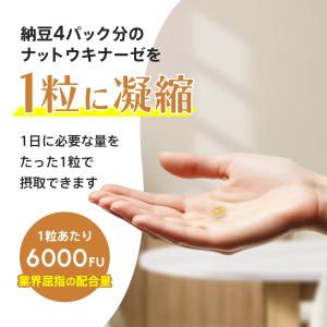 ナットウキナーゼ サプリ k2除去 6000F...の詳細画像4