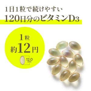 ビタミンD3 サプリ120日分 2000IU/...の詳細画像4