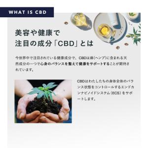CBDオイル 40% 4000mg配合 Nat...の詳細画像1