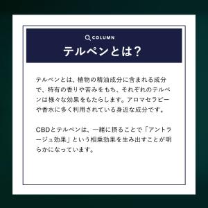 CBDオイル 40% 4000mg配合 Nat...の詳細画像4