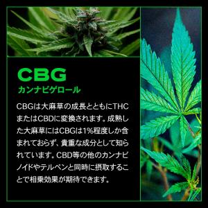 CBGリキッド スターターセット 75% 1m...の詳細画像2