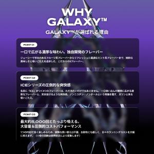 【新発売】skew GALAXY スターターセ...の詳細画像4