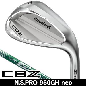 Titleist（タイトリスト） 2023 T200 N.S.PRO 105T アイアン 単品 W48