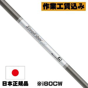 TRUE TEMPER シャフト アイアン用 エアロテック スチール TRUE TEMPER シャフト アイアン用 エアロテック スチール