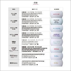 タイトリスト 2025 オウンネーム プロV1...の詳細画像1