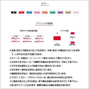 タイトリスト 2025 オウンネーム プロV1...の詳細画像2