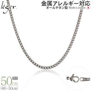 Phiten（ファイテン） チタンチェーンネックレス 50cm 0525TC664053 純