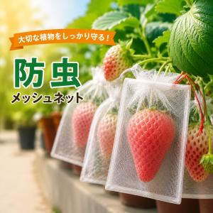 防虫ネット 果物 野菜 保存袋 10×15cm 20×30cm メッシュ袋 防虫袋 果実袋 園芸ネット 鳥よけ 虫よけ 通気性 家庭菜園 くだもの 野菜 保護袋